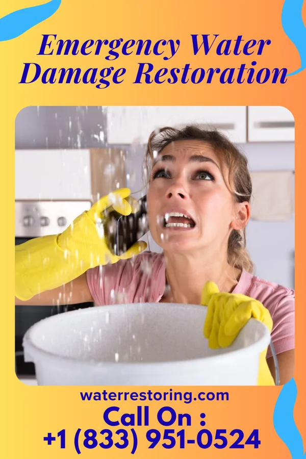 Emergency Water Damage Restoration in Revillo, SD