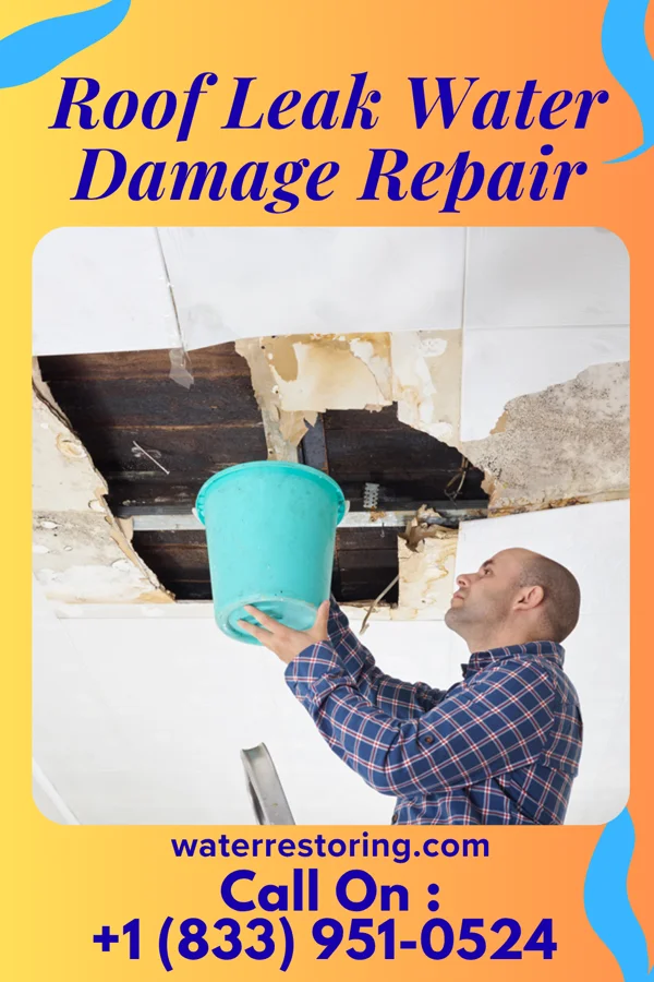 Roof Leak Water Damage Repair in Revillo, SD