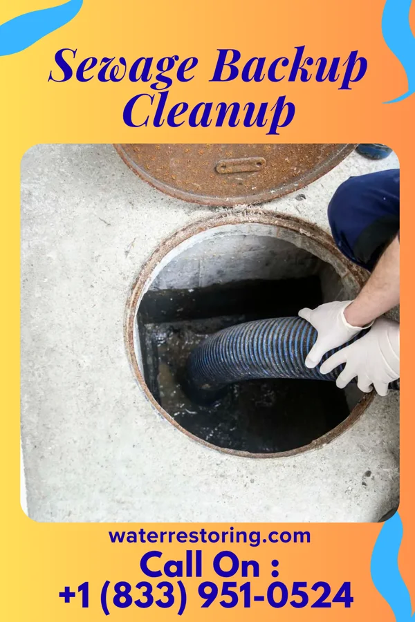 Sewage Backup Cleanup in Revillo, SD
