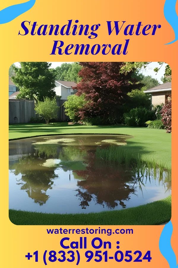 Standing Water Removal in Revillo, SD